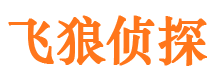 宜章市侦探公司